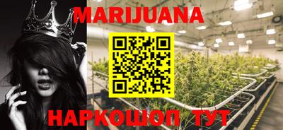 прущие крисы Новозыбков