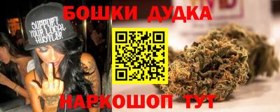дмт Новокубанск