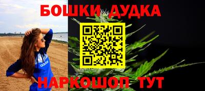 прущие крисы Новозыбков