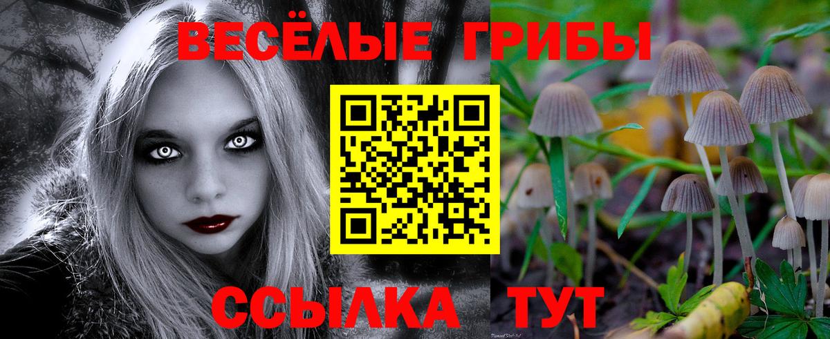 Северобайкальск  Галлюциногенные грибы Psilocybine cubensis  Псилоцибиновые грибы Psilocybine cubensis  Вход с VPN 