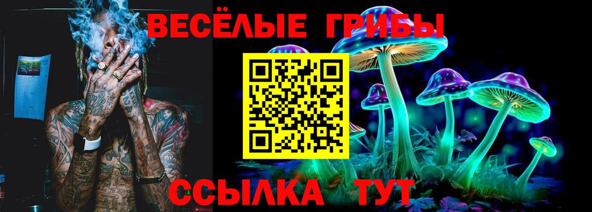 Галлюциногенные грибы прущие грибы Северобайкальск